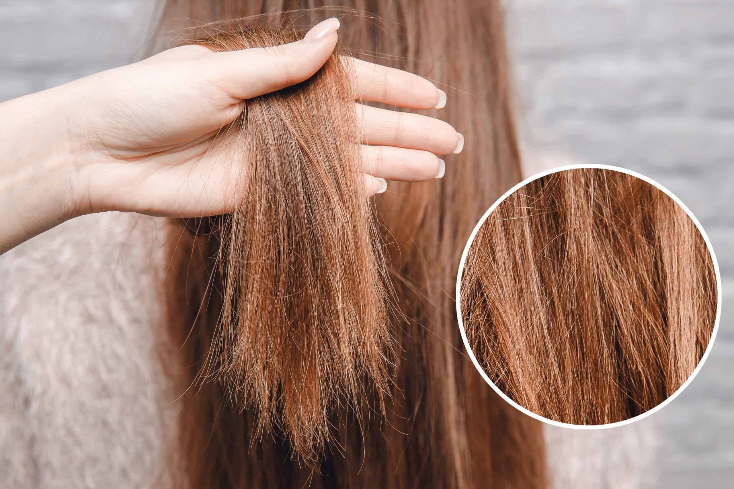 Color Treated Hair